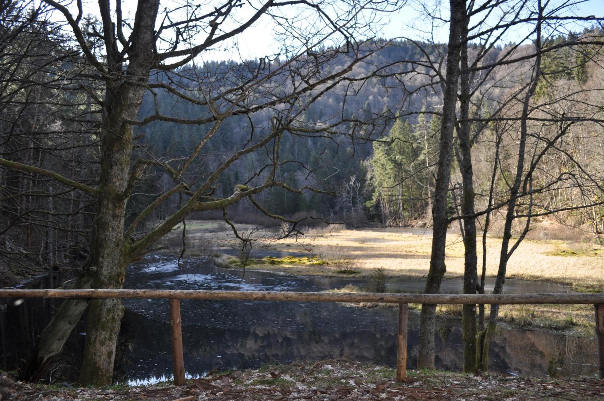 Auberge De L'Etang Du Devin Lapoutroie Zewnętrze zdjęcie