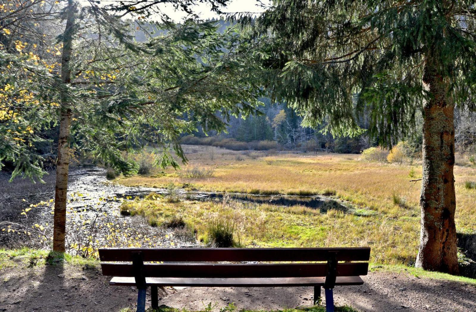 Auberge De L'Etang Du Devin Lapoutroie Zewnętrze zdjęcie